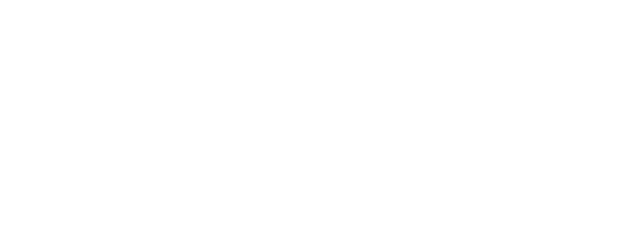 api logo