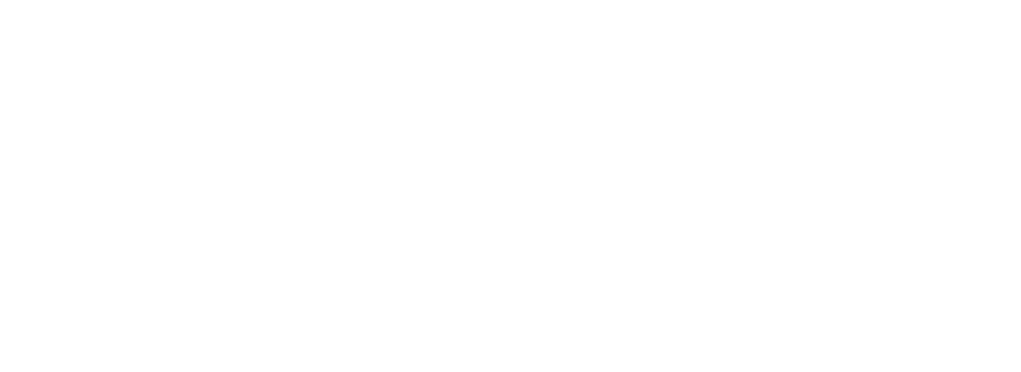 david logo
