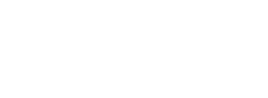 wainet logo