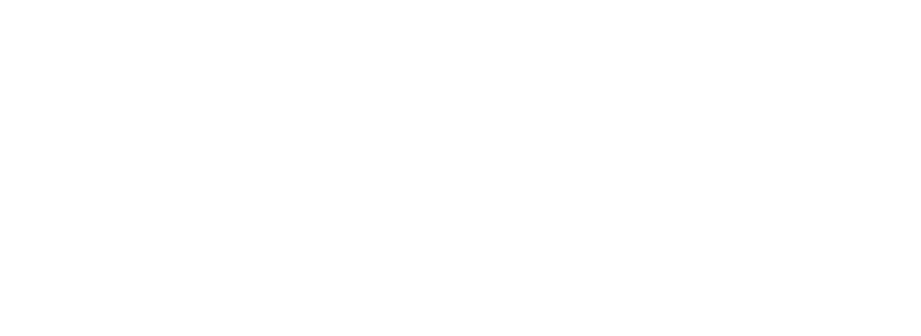 zona logo